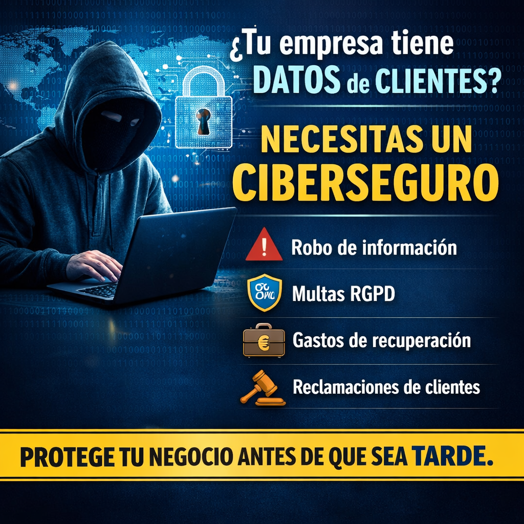 Ciberseguro